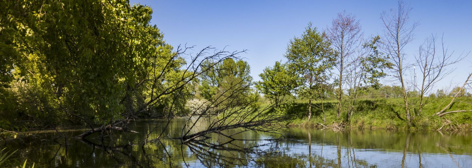 Umgebung  hier Lippe Adobe Stock 205266300